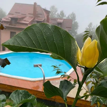 краса карпат *