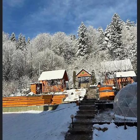 краса карпат *