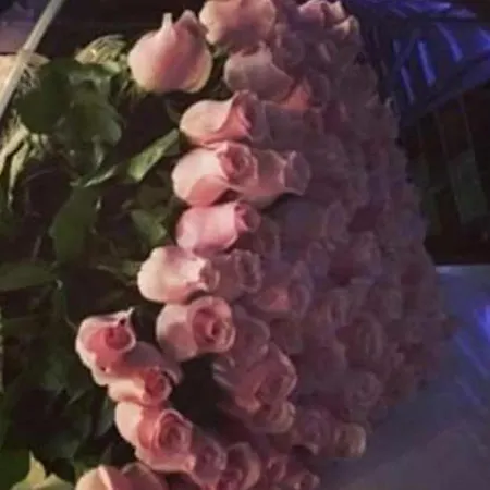 краса карпат