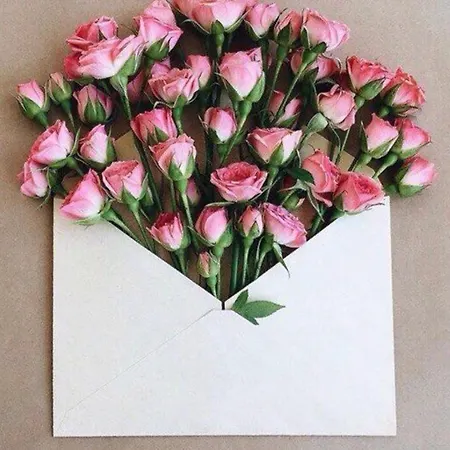 краса карпат * Jaremtsche