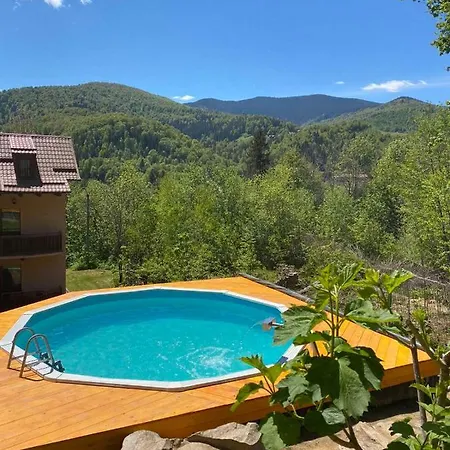 краса карпат *